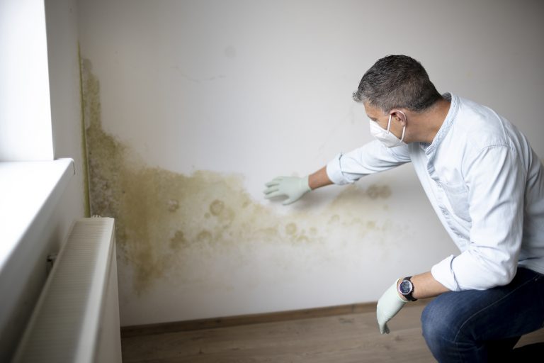 rising damp Harrogate